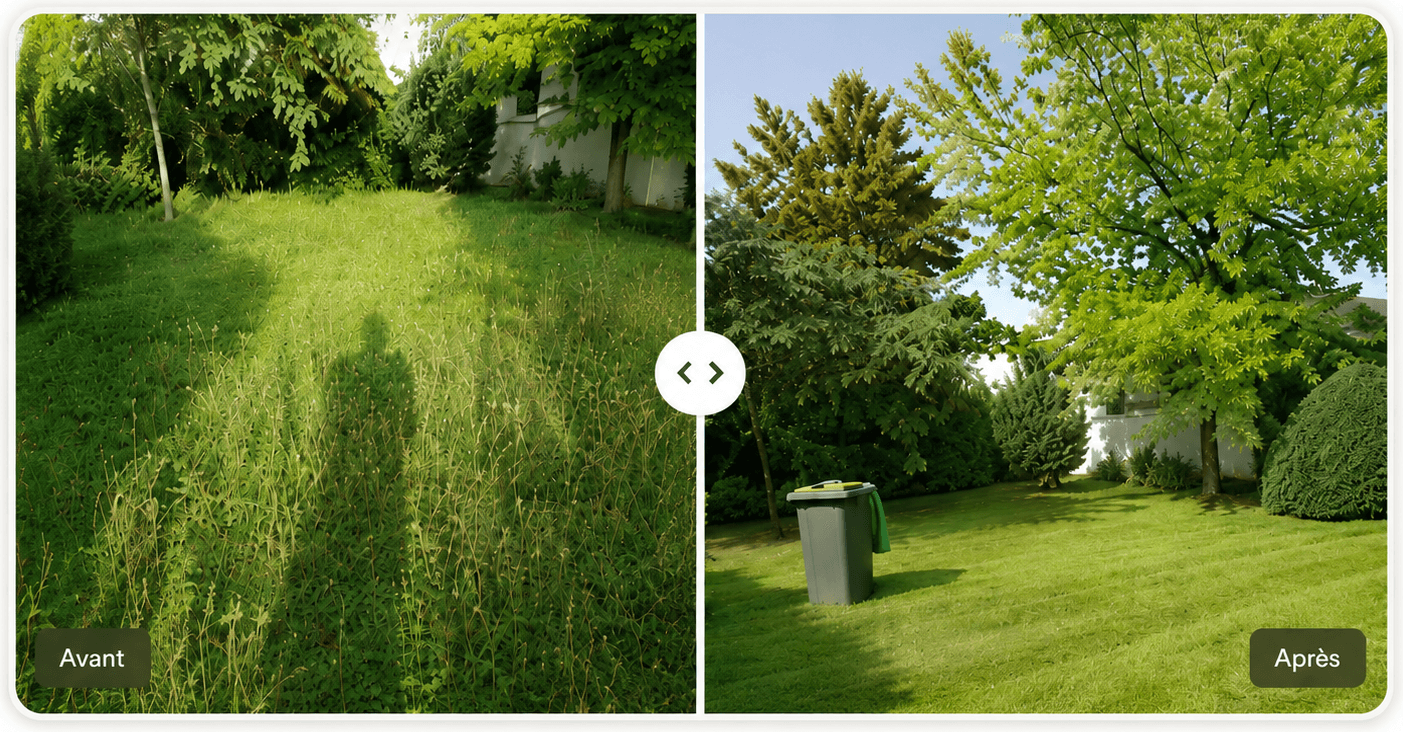 Remise en état de pelouse — Garden Care Essonne