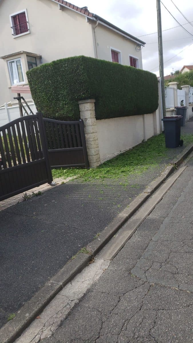 Taille de haie — Garden Care Essonne